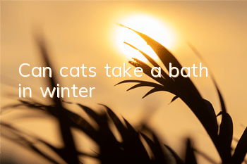 TCan cats take a bath in winter?