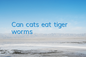 Can cats eat tiger worms?