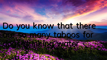 Do you know that there are so many taboos for dogs drinking water?