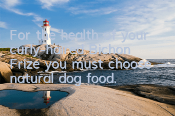 For the health of your curly-haired Bichon Frize, you must choose natural dog food.