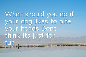 What should you do if your dog likes to bite your hands? Don’t think it’s just for fun