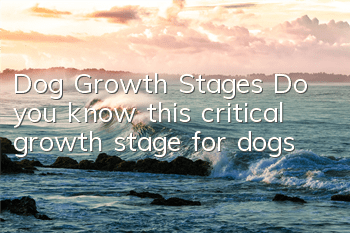 Dog Growth Stages Do you know this critical growth stage for dogs?