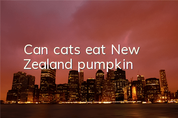 Can cats eat New Zealand pumpkin?
