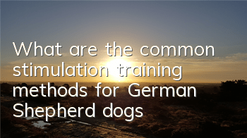 What are the common stimulation training methods for German Shepherd dogs?