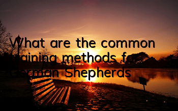 What are the common training methods for German Shepherds?