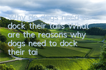 Why do dogs need to dock their tails? What are the reasons why dogs need to dock their tails?