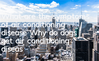 What are the symptoms of air conditioning disease? Why do dogs get air conditioning disease?