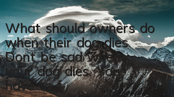 What should owners do when their dog dies? Don’t be sad when your dog dies. You have to finish what you need to do!