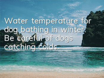 Water temperature for dog bathing in winter. Be careful of dogs catching colds.