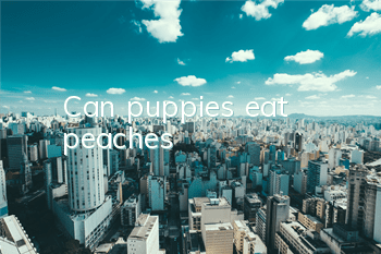Can puppies eat peaches?