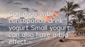 Can dogs with constipation drink yogurt? Small yogurt can also have a big effect