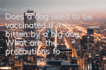 Does a dog need to be vaccinated if it is bitten by a big dog? What are the precautions for injecting rabies vaccine?