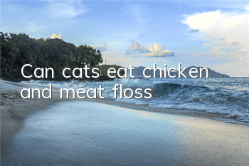 Can cats eat chicken and meat floss?