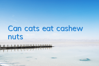 Can cats eat cashew nuts?