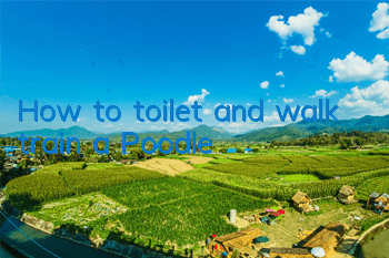 How to toilet and walk train a Poodle?