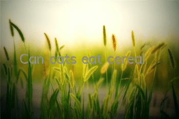 Can cats eat cereal?
