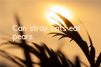 Can stray cats eat pears?