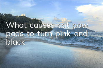 What causes cat paw pads to turn pink and black?
