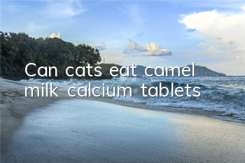 Can cats eat camel milk calcium tablets?