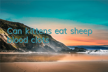 Can kittens eat sheep blood clots?
