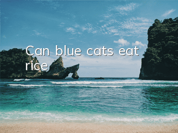 Can blue cats eat rice?