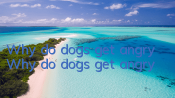 Why do dogs get angry? Why do dogs get angry?