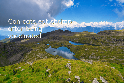 Can cats eat shrimp after being vaccinated?