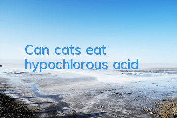 Can cats eat hypochlorous acid?