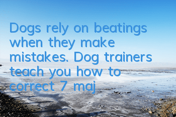 Dogs rely on beatings when they make mistakes. Dog trainers teach you how to correct 7 major misunderstandings!