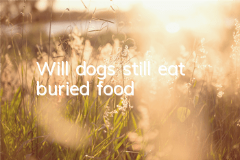 TWill dogs still eat buried food?