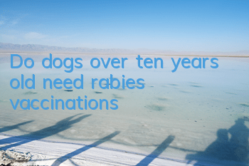 Do dogs over ten years old need rabies vaccinations?