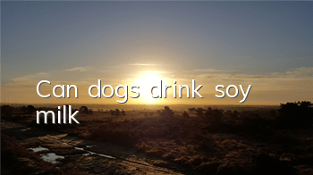 TCan dogs drink soy milk?