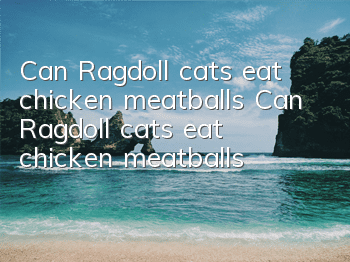 Can Ragdoll cats eat chicken meatballs? Can Ragdoll cats eat chicken meatballs?