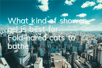 TWhat kind of shower gel is best for Fold-eared cats to bathe?