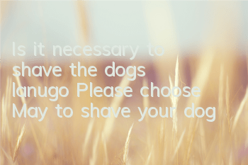 Is it necessary to shave the dog’s lanugo? Please choose May to shave your dog!
