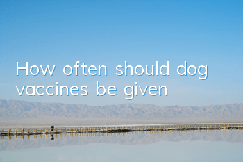 THow often should dog vaccines be given?