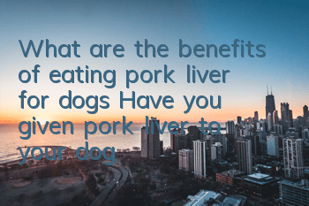 What are the benefits of eating pork liver for dogs? Have you given pork liver to your dog?