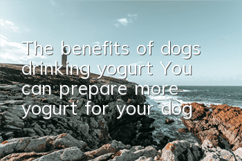 The benefits of dogs drinking yogurt: You can prepare more yogurt for your dog
