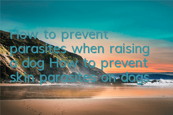 How to prevent parasites when raising a dog How to prevent skin parasites on dogs