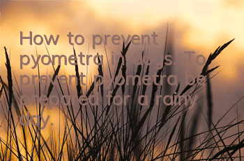 How to prevent pyometra in dogs. To prevent pyometra, be prepared for a rainy day.