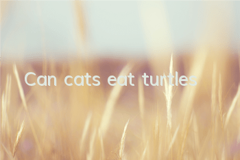 Can cats eat turtles?