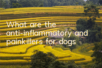 TWhat are the anti-inflammatory and painkillers for dogs?
