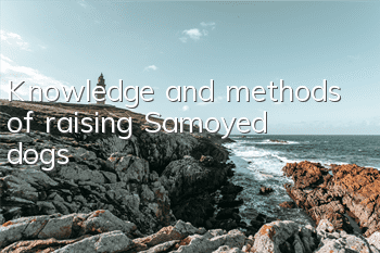 Knowledge and methods of raising Samoyed dogs