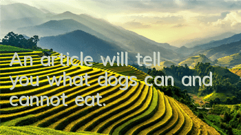 An article will tell you what dogs can and cannot eat.