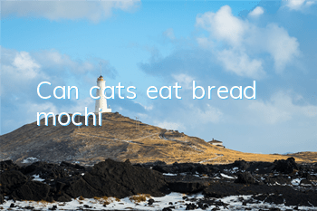 Can cats eat bread mochi?