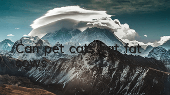Can pet cats eat fat cows?