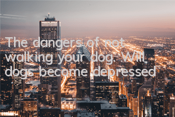 The dangers of not walking your dog. Will dogs become depressed?