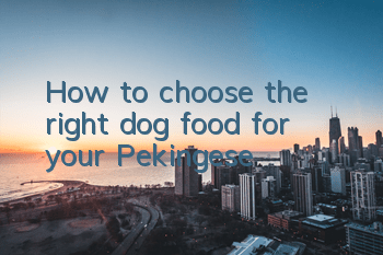 How to choose the right dog food for your Pekingese
