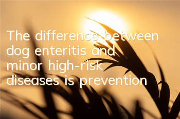 The difference between dog enteritis and minor high-risk diseases is prevention