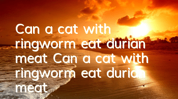 Can a cat with ringworm eat durian meat? Can a cat with ringworm eat durian meat?